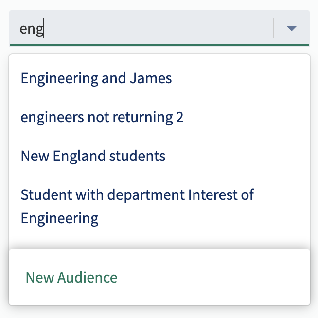 Audience search.png